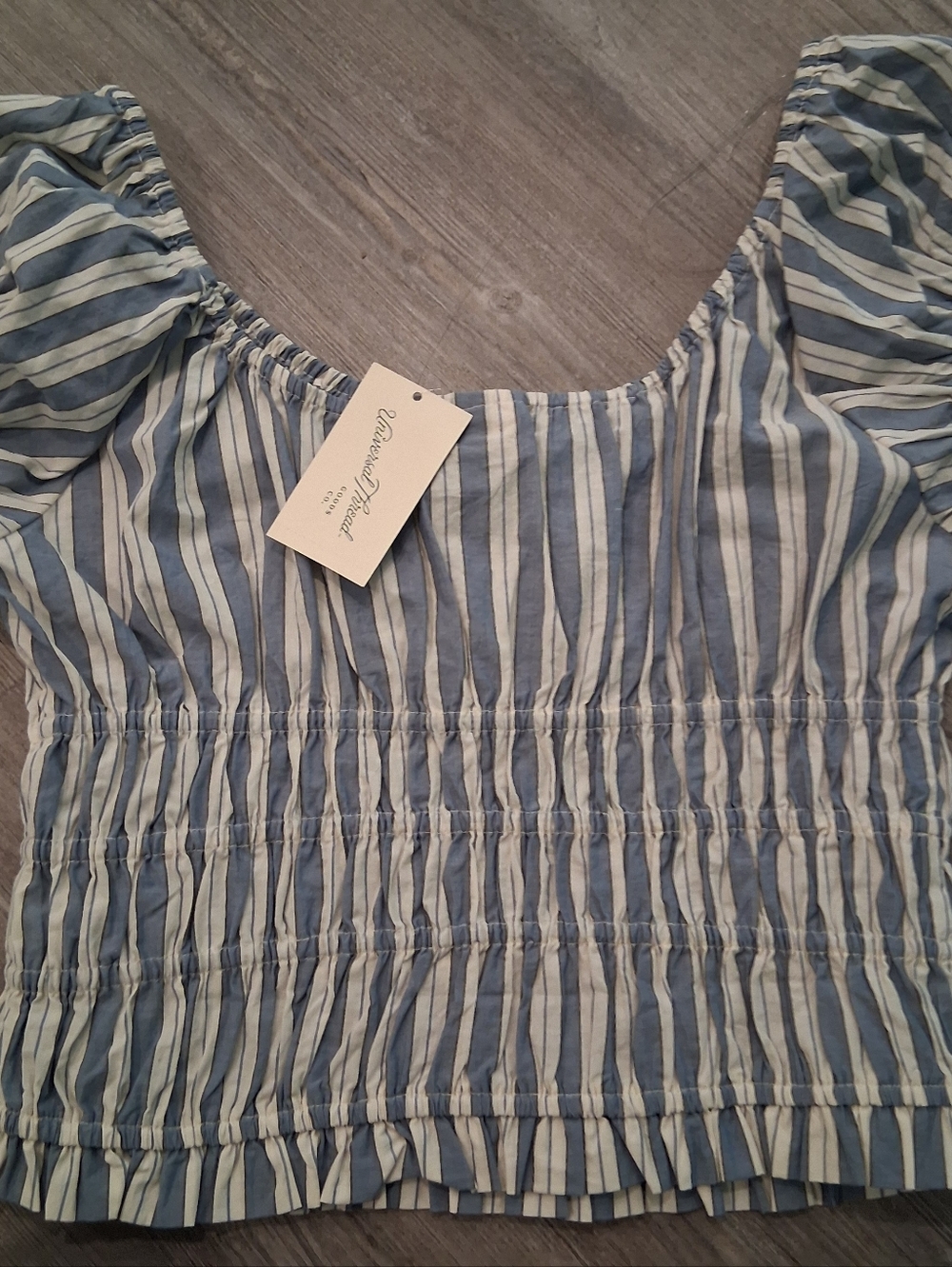Blue and White Striped Shirred Puff Sleeve Summer Festival Crop Top Blouse